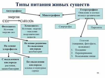 Схема способы питания