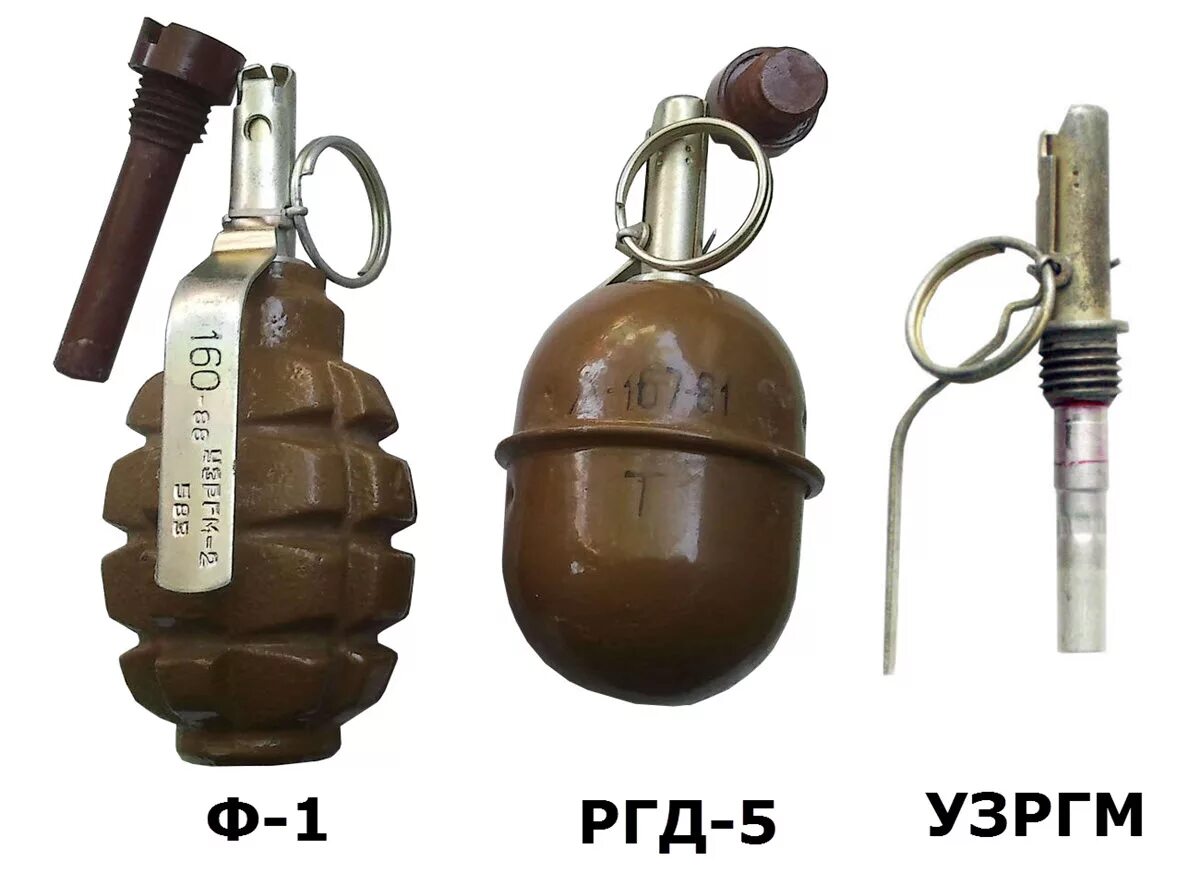 Как отличить граната. Граната ф1 и РГД 5. Ручная граната ф1 и РГД. Осколочная граната РГД 5. Взрыватели гранат ргд5 и ф1.