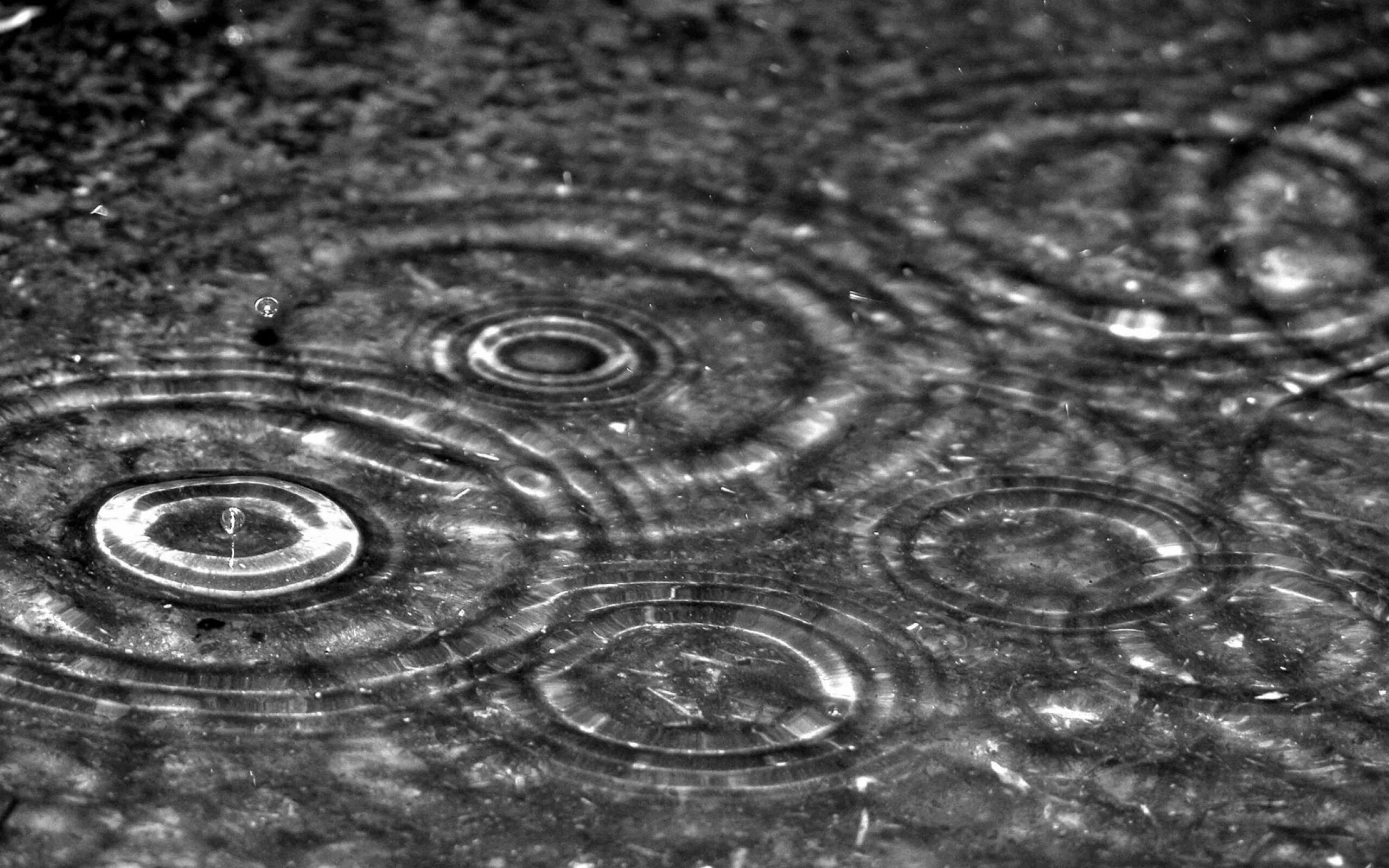 Капли дождя на воде. Круги на воде. Круги на луже. Круги на воде вид сверху. Круги на воде текстура.