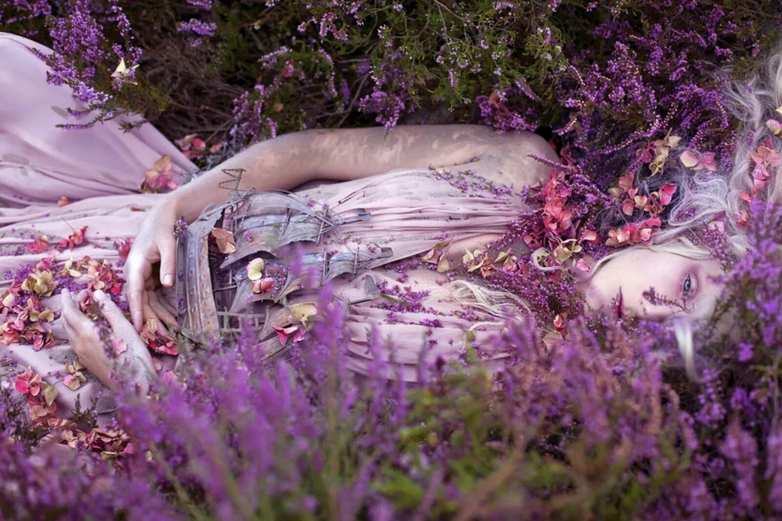 Кирсти Митчелл Kirsty Mitchell. Кирсти Митчелл фотоработы. Британский фотограф Кирсти Митчелл. Kirsty Mitchell Wonderland. Загадочная красота