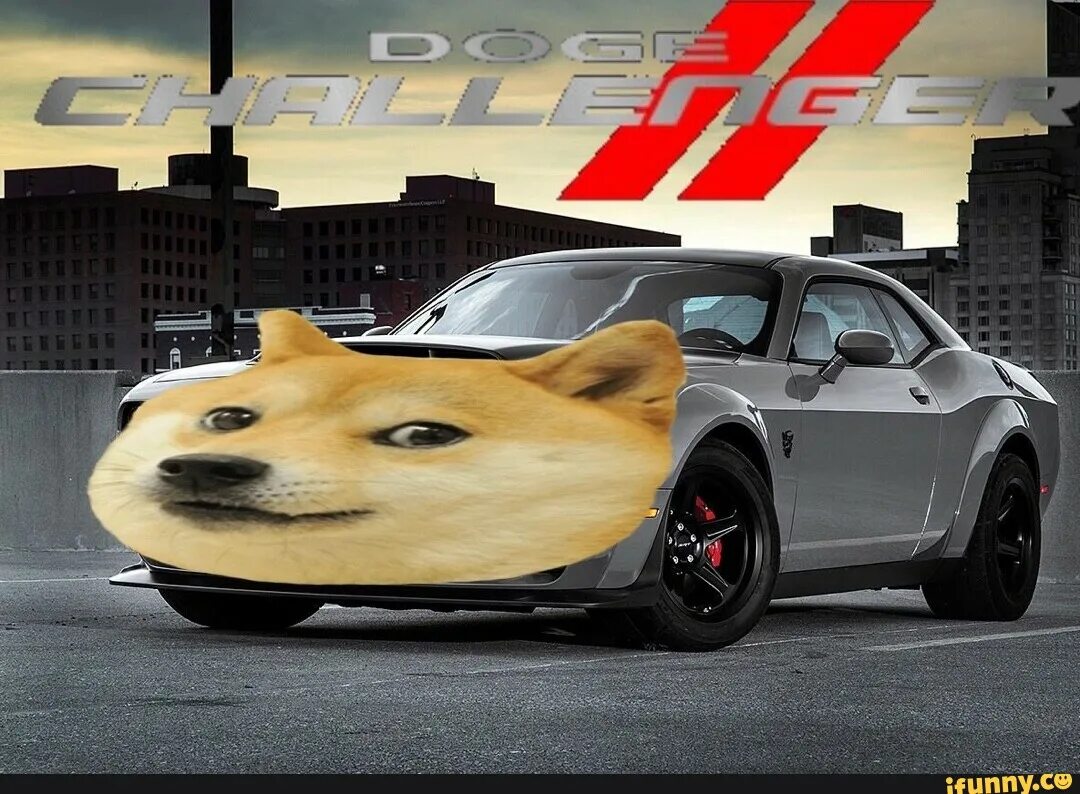 E get car. Doge машина. Doge царь. Doge car 1.2. Doge Вайпер.