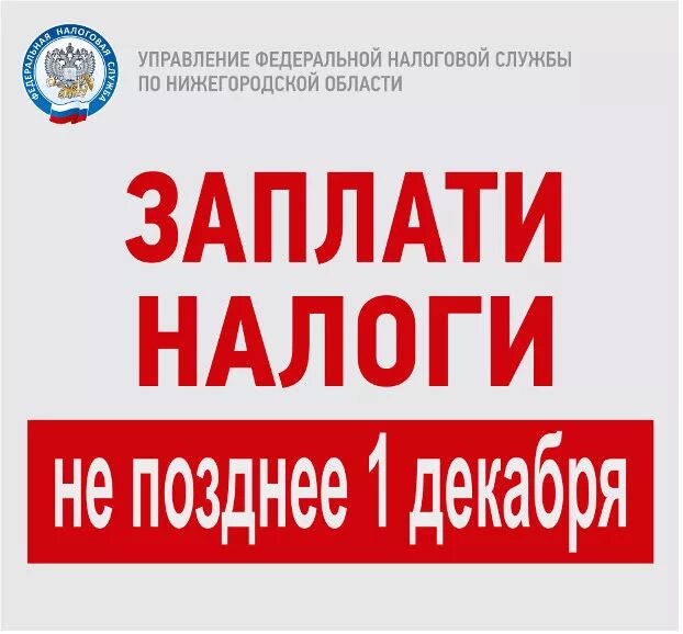 Не платят налог 2 года