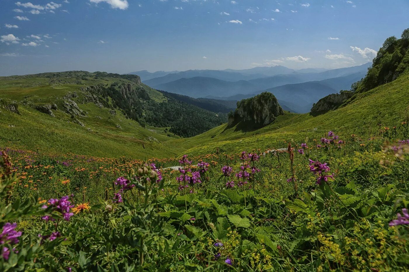 Плато Лаго-Наки Адыгея. Высокогорное плато Лаго-Наки (Адыгея).. Альпийские Луга Адыгея Лагонаки. Адыгея плато Лаго Ники. Адыгею прославила удивительная природа егэ