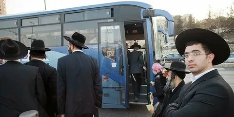 Встречаем в чаще автобусами