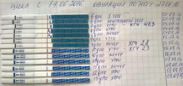 Через сколько дней будет 18 мая. Тест на беременность. Тесты на беременность по дням. ХГЧ тест на беременность. Тесты при ХГЧ.