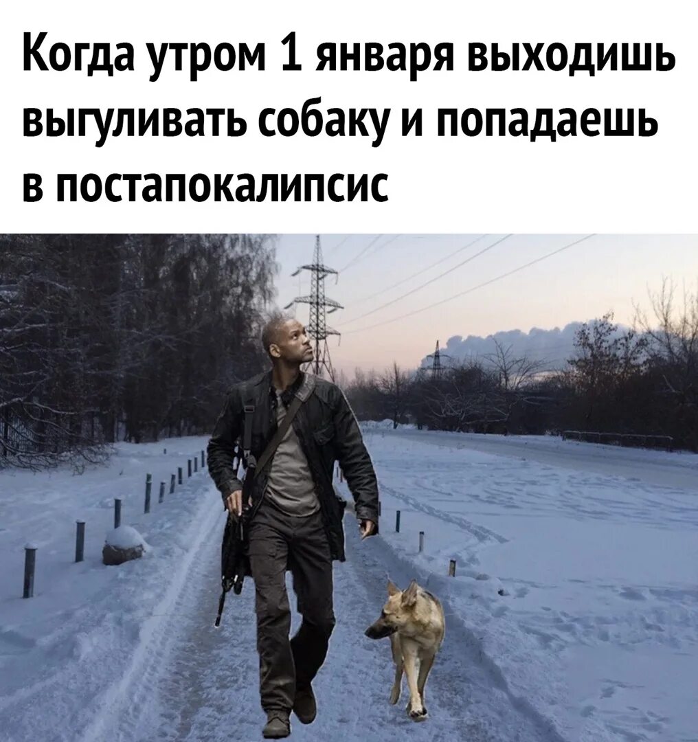 Уже в первое утро собаки обнаружили. 1 Января юмор. Прогулять собаку. 3 Января картинки прикольные. Когда выгуливаешь собак 1 января.