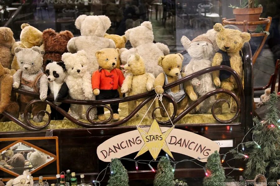 Мишки тедди мастера. Плюшевый мишка тедди. Мишка тедди в магазине. Настоящий мишка тедди. Магазины мишек тедди.