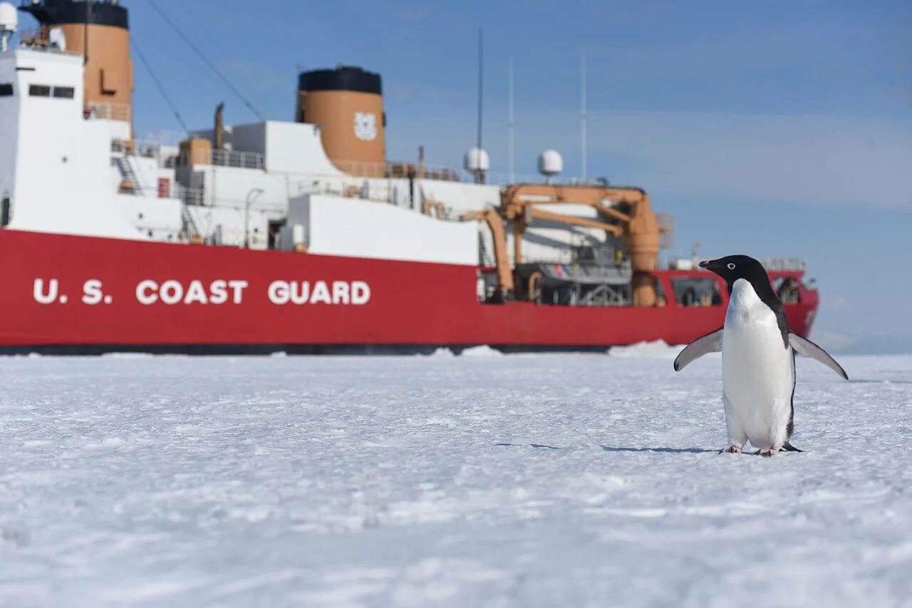 Ледокол Полярная звезда. Американский ледокол Polar Star. USCGC Polar Star. Ледокол и пингвины.