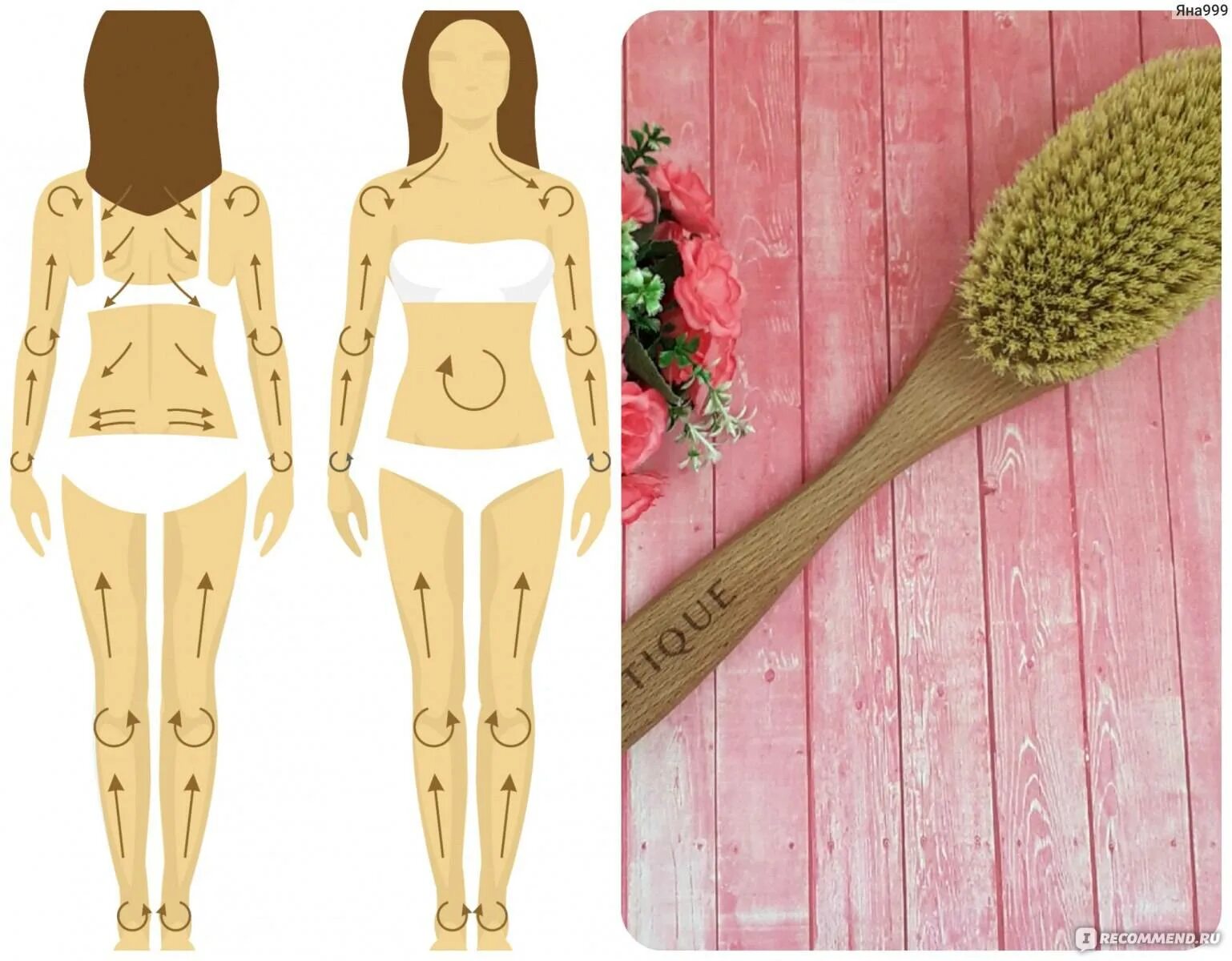 Техники сухого массажа щеткой. Как пользоваться щеткой для тела. Массаж сухой щеткой от целлюлита. Антицеллюлитный массаж щеткой. Схема антицеллюлитного массажа сухой щеткой.