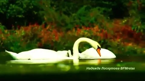 Нежная музыка успокаивает нервную