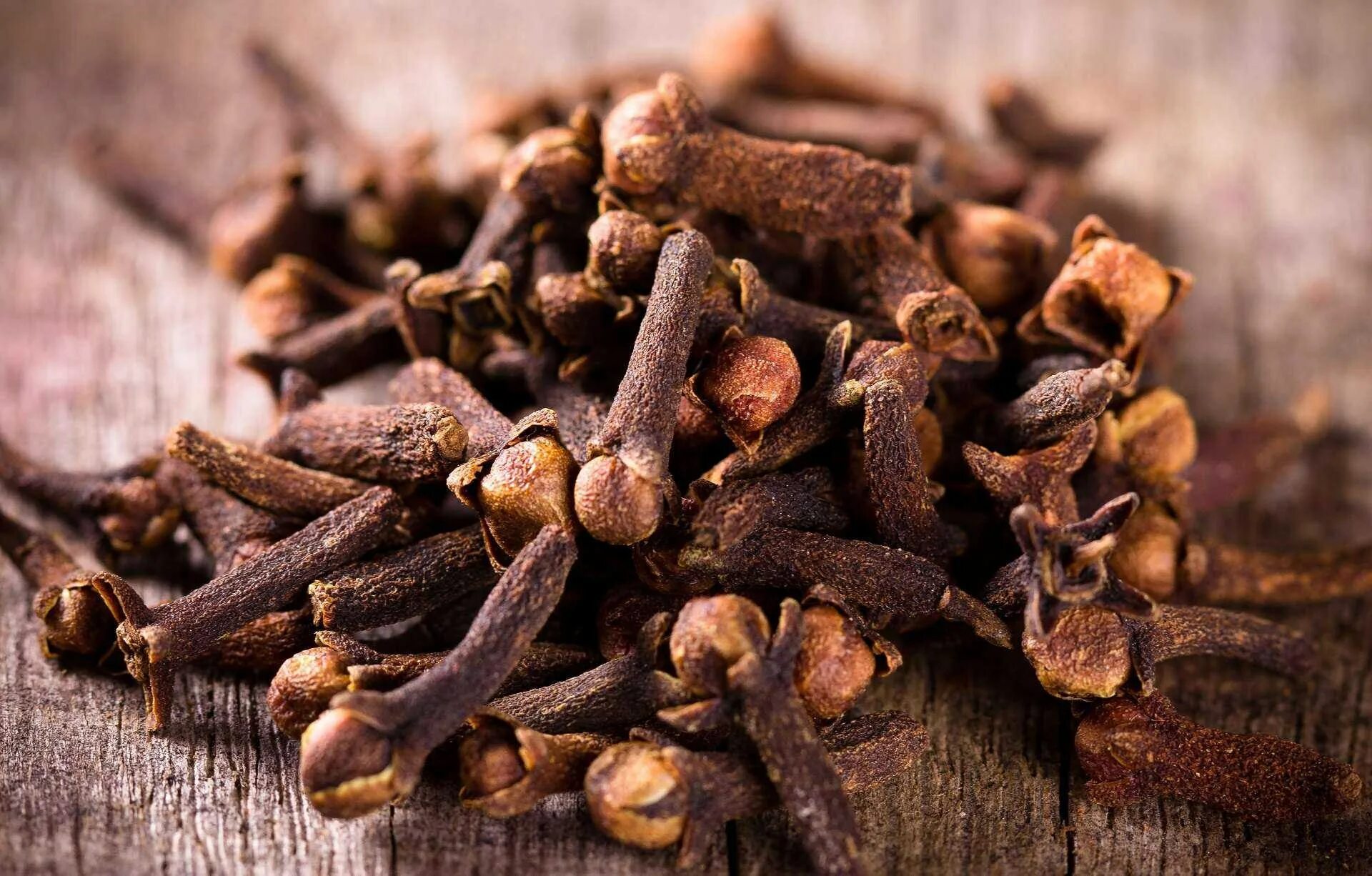 Цветы гвоздики приправа. Гвоздика специя. Гвоздика приправа. Бутон гвоздики пряность. Бутон гвоздики специя.