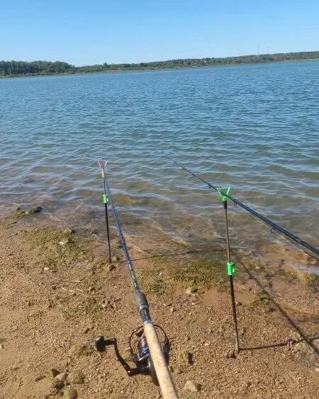 на что ловить судака. курчатовское водохранилище рыбалка. озеро фиш. как показывает даунскан судака. остров высоцкий высоцк.