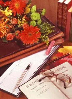 С днем знаний преподавателю вуза