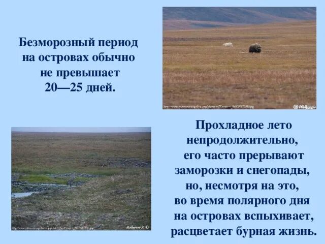 Безморозный период интервал от даты последнего весеннего. Продолжительность безморозного периода. безморозный период это география.