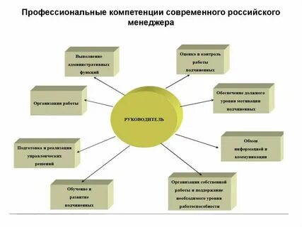 Профессионализмы директора