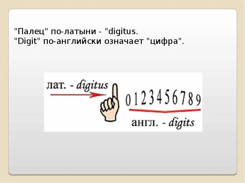 Отводящая мезинец мышцы кисти. Название пальцев на руке человека на латыни анатомия. Abductor digiti minimi. Палец на латинском. Палец на латинском.