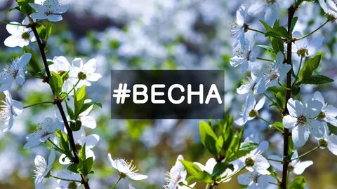 Видео весенняя