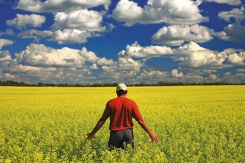 Работа с полем человека
