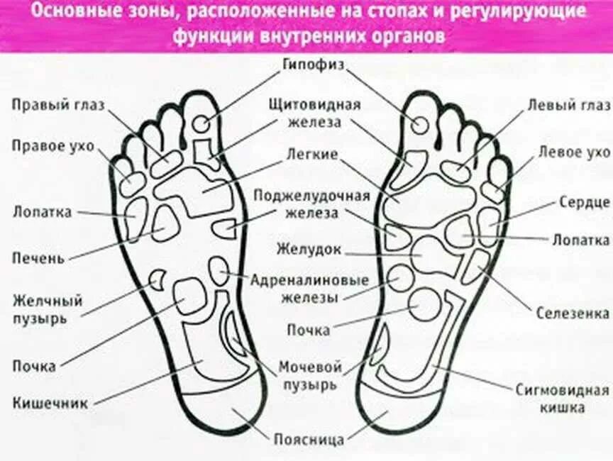 Точки на ступнях. Биологически активные точки на стопе. Точка на подошве стопы. Массаж стоп точки. Подошва болит что делать