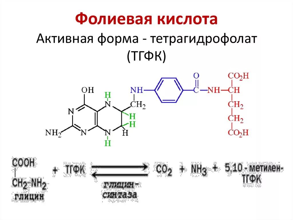 Витамин b9 структура. Активная форма витамина в9. Реакции с участием витамина в9. Витамин b9 структурная формула.