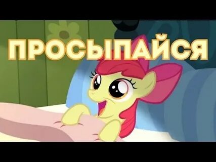 Проснись мой друг