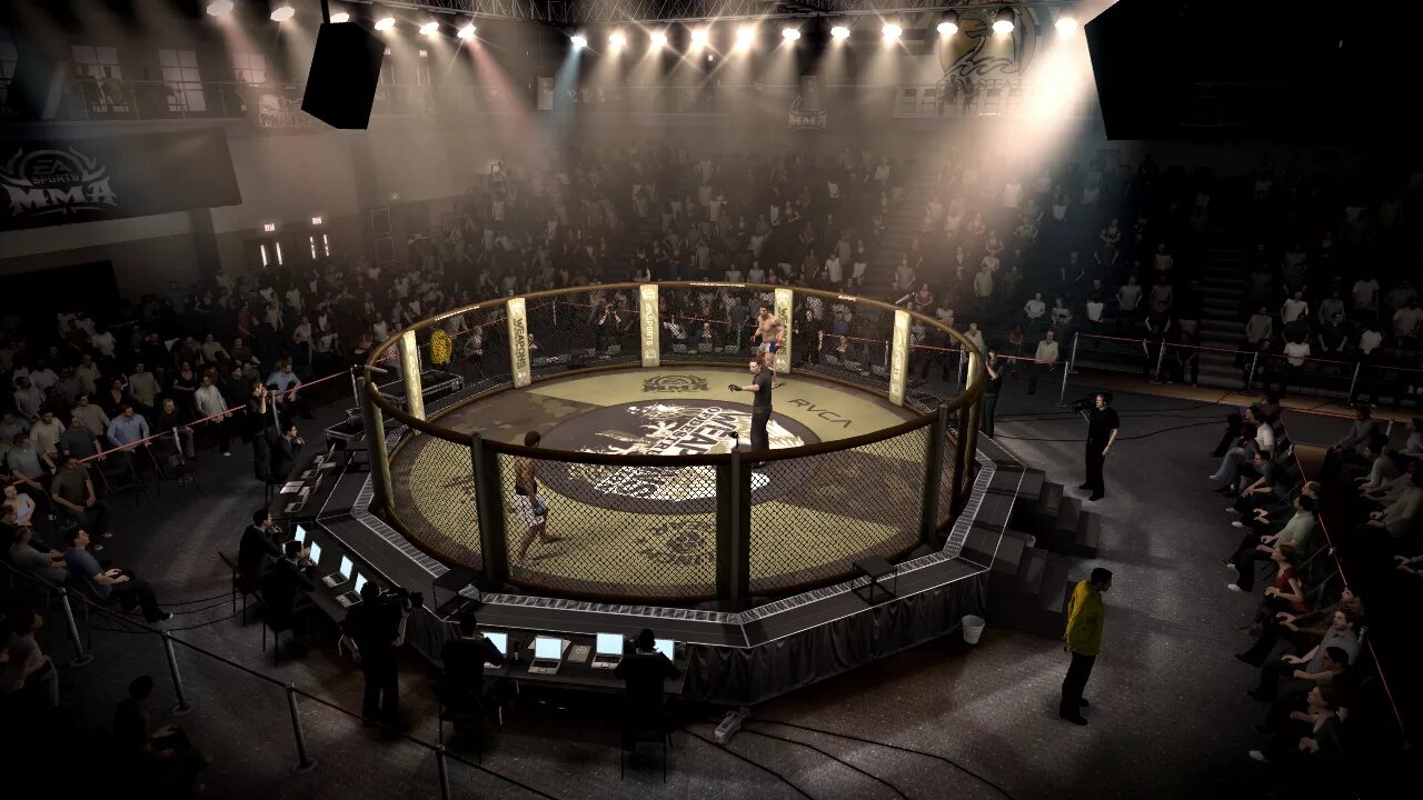 Деф арена. Арена юфс. октагон мма. ufc octagon. ufc ринг.