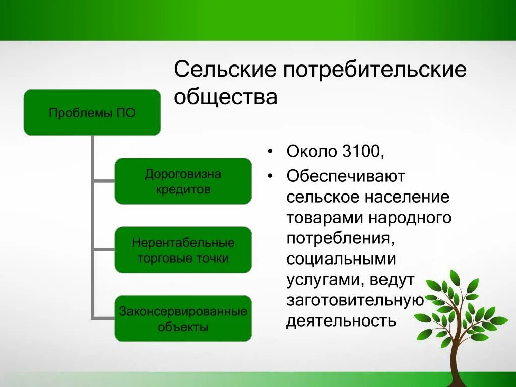 Потребительской кооперации потребительских обществах. Сельское потребительское общество. Потребительское общество пример. Развитие кооперации. Городские и сельские потребительские общества сообщение.