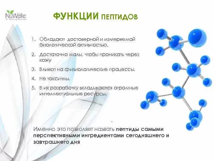 Полипептиды функции. Низкомолекулярные пептиды и их биологические функции. Биологические функции пептидов. Роль пептидов. Пептиды в косметике.