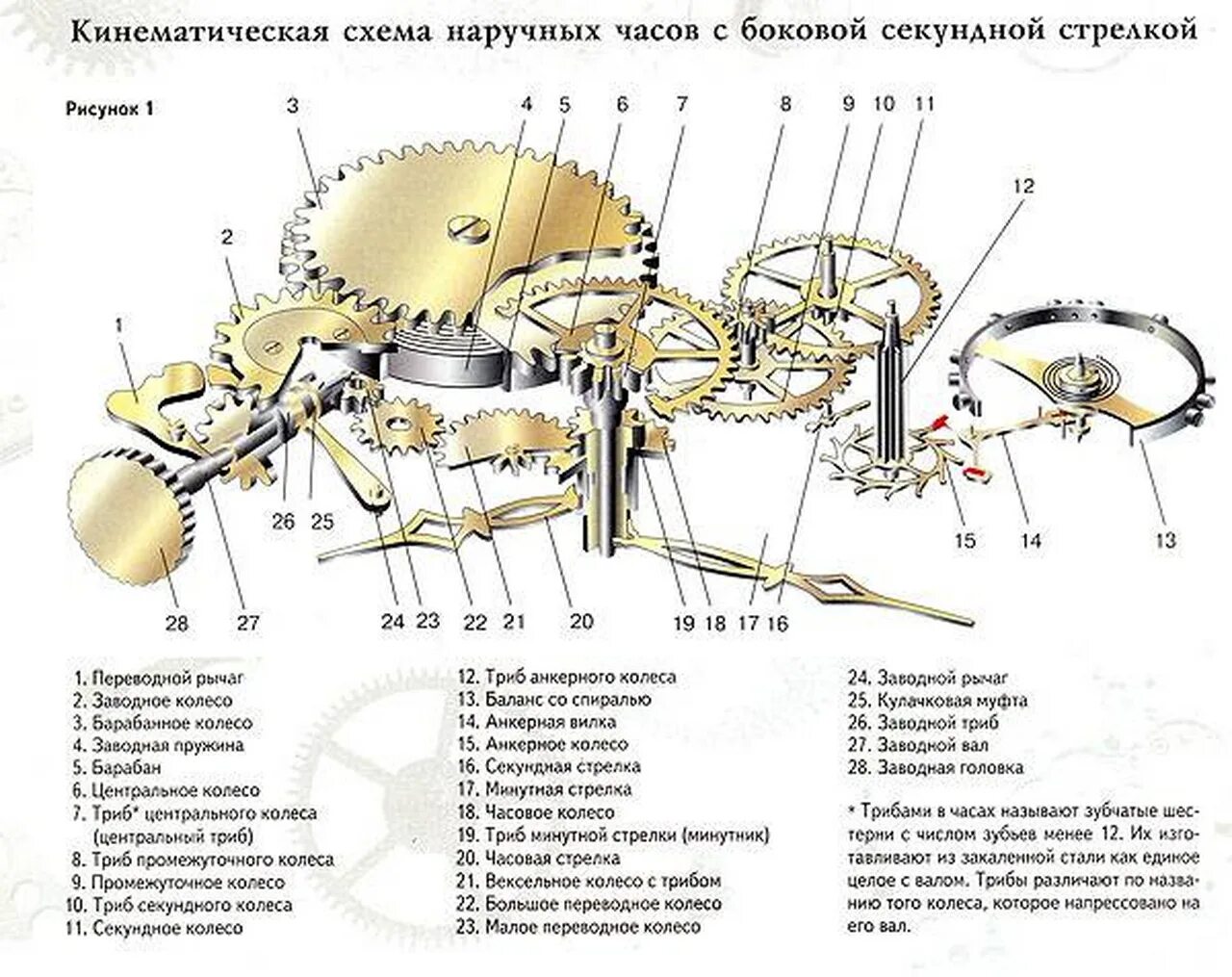 Что значат камни в часах. Схема механических часов наручных. Устройство кварцевых наручных часов схема. Кинематическая схема кварцевых наручных часов. Механизм кварцевых часов схема.