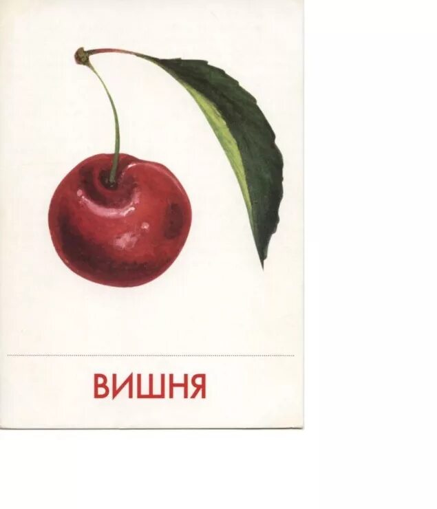 Вишня на английском языке. Вишня карточка для детей. дидактические карточки вишня. карточки фрукты вишня. карточки фрукты для детей вишня.