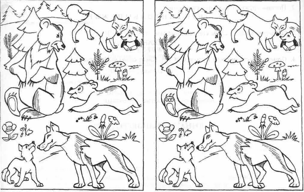 Лесные животные задания для детей. Задания по теме Дикие животные. Раскраска "Дикие животные". Животный мир задания для дошкольников.