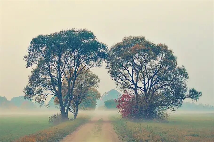 Between the trees. Between the trees