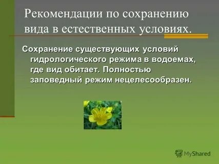 Категории сохранения видов