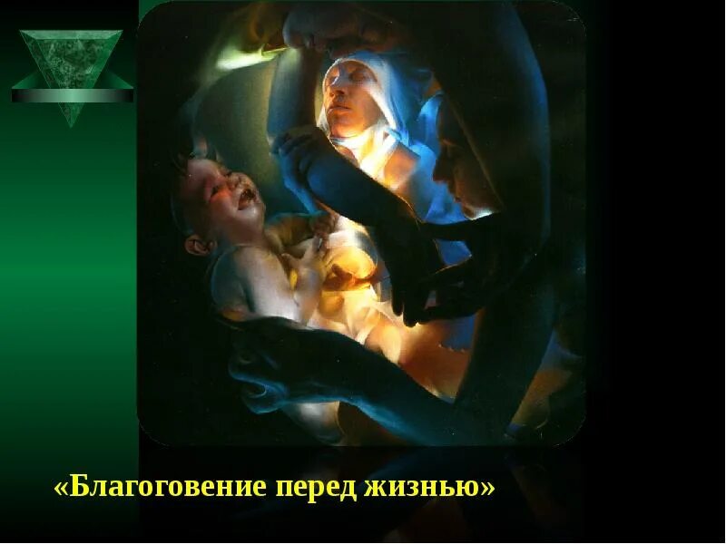 Благоговение перед жизнью. Благоговение перед жизнью. Благоговение перед жизнью автор. Этика благоговения перед жизнью а швейцера. Благоговение перед жизнью автор.