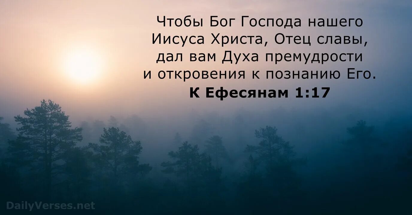Мудрые истины о жизни. Познание святого разум. Бог дает мудрость. Философские изречения. Мудрость христианская.