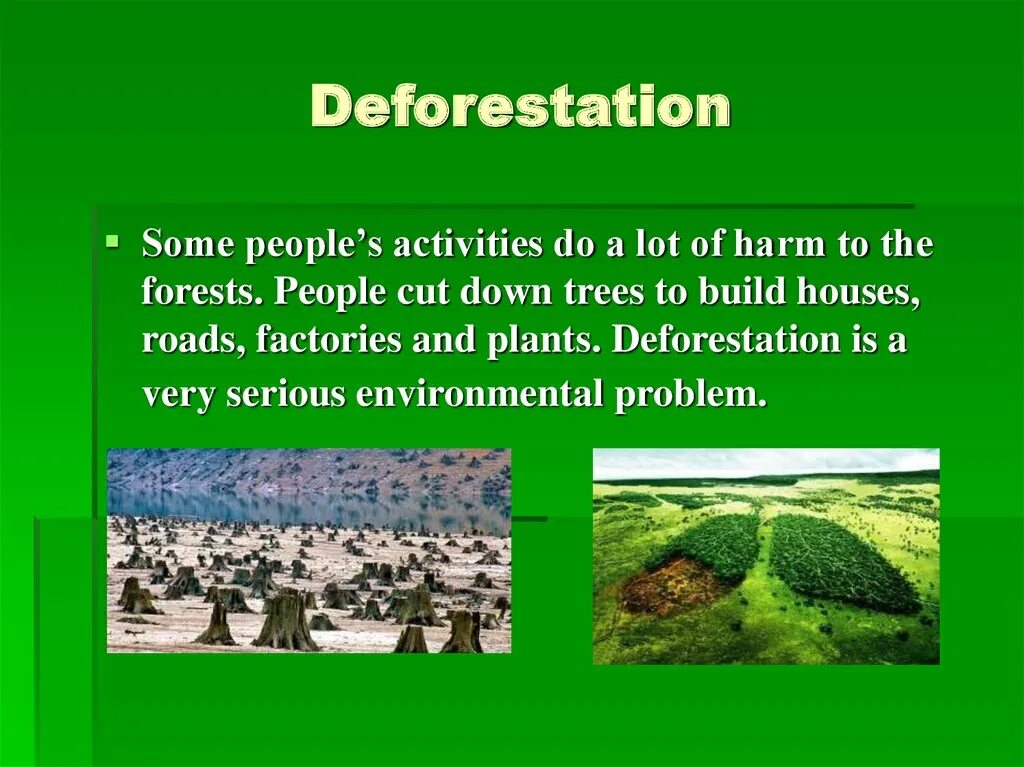 Cut down plant. Deforestation презентация. Deforestation текст. Environmental problems deforestation. Causes of deforestation.