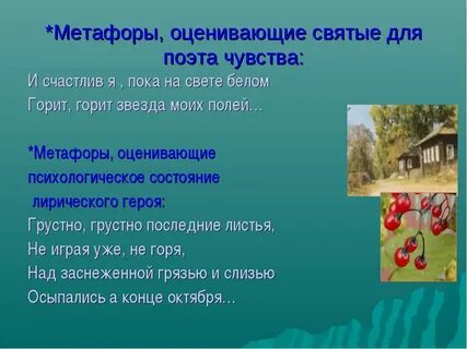 Добрый конь в зеленом поле это метафора