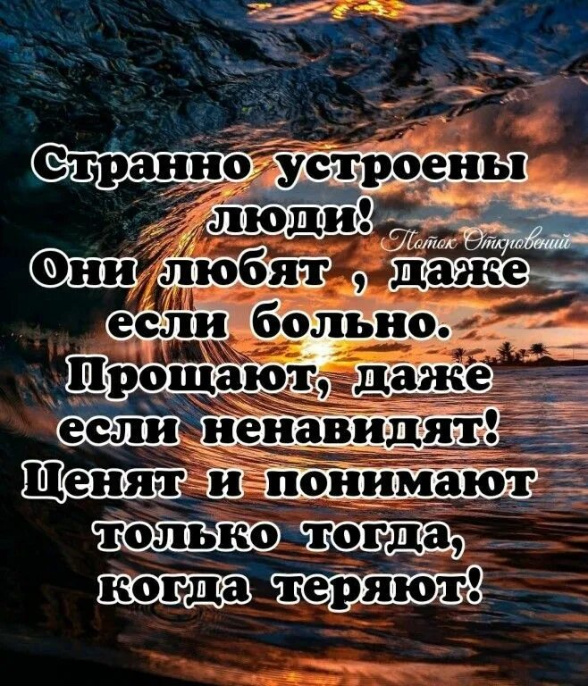 Мы ценим лишь когда теряем. Ценим только тогда когда теряем. Мы начинаем ценить тогда когда теряем. Мы ценим лишь тогда когда. Мы ценим лишь