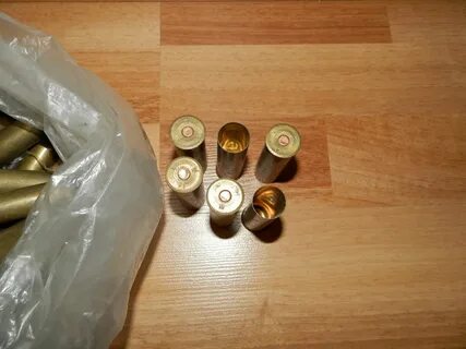 Жевело 5.6