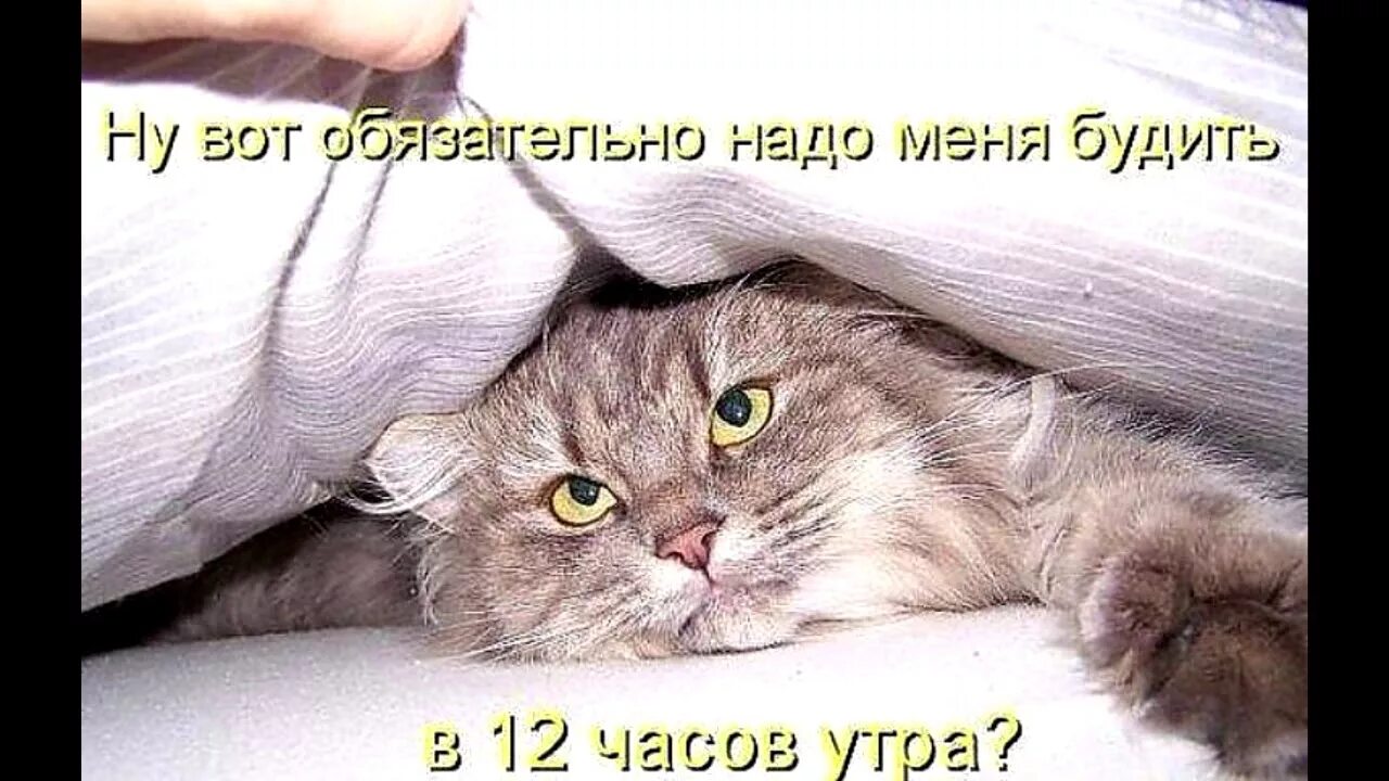 Очень пора
