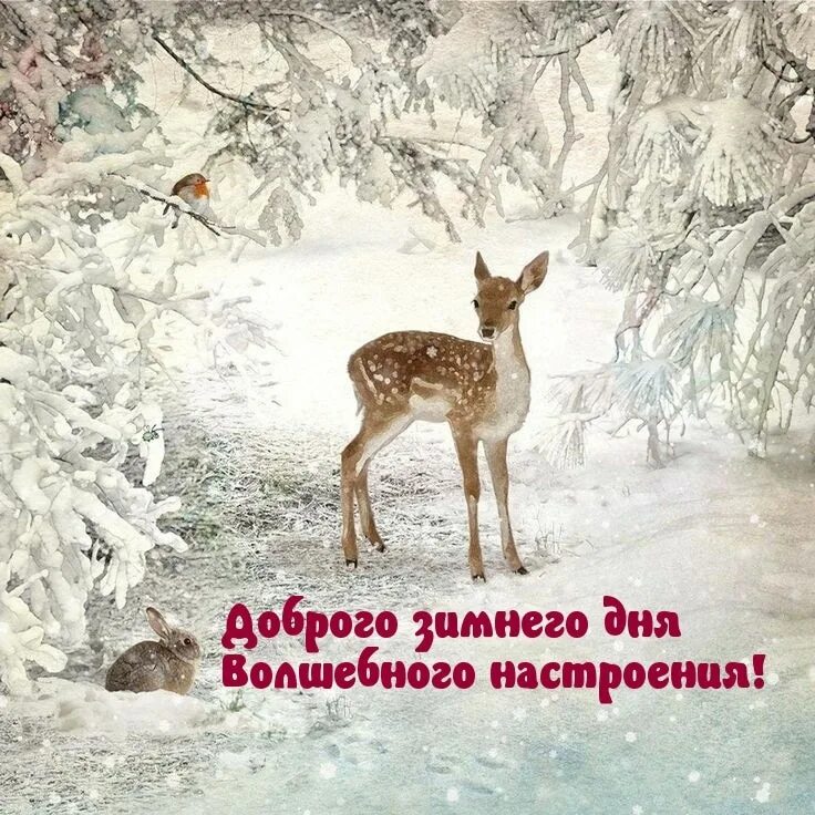 Картинки с пожеланиями доброго зимнего дня. Доброго зимнего дня. доброго́т за имнего дня. хорошего дня зимой. доброго зимнего дня и хорошего.