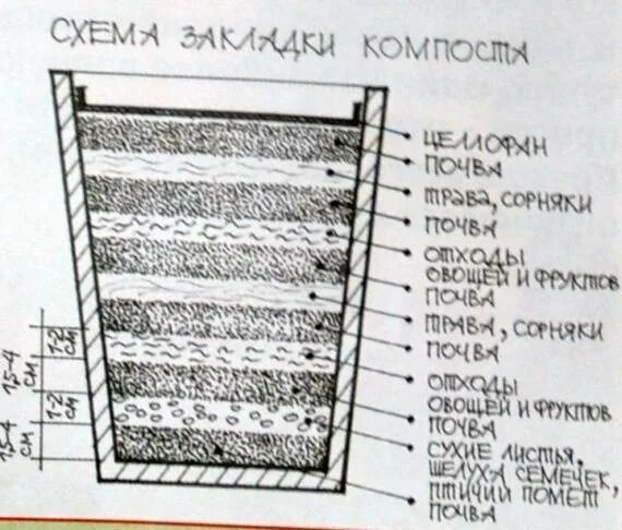 Содержание компостной ямы гигтест. Компостная яма схема слоев. схема укладки компостной ямы. компостная яма схема. компостная куча схема.