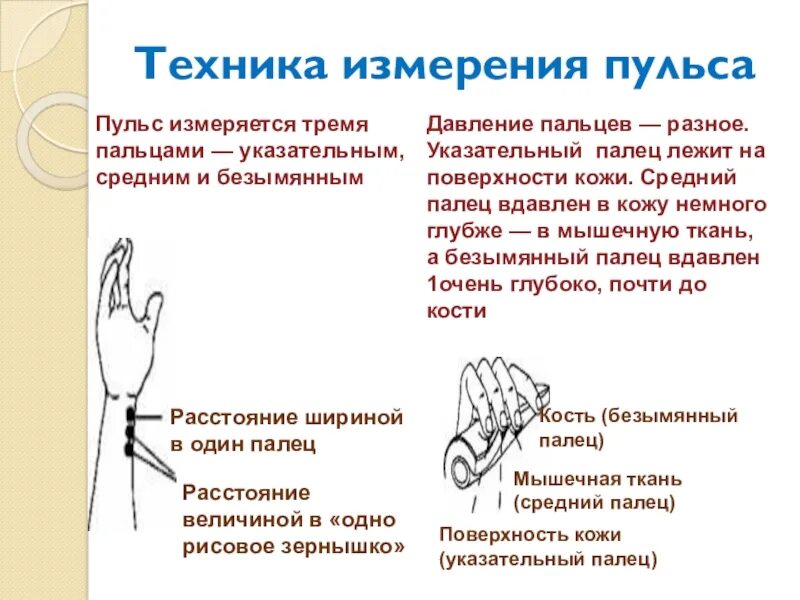 Почему измеряем пульс. Техника измерения пульса. Технология измерения пульса. Измерение пульса тремя пальцами. Техника трех пальцев.