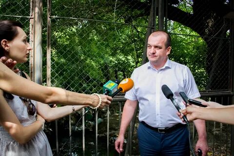 Восстановление дону