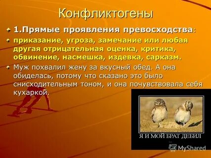 Конфликтогены это