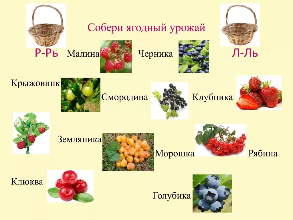 Тема ягоды. Презентация ягоды для дошкольников. Ягоды названия. Лесные ягоды для дошкольников названия. Крыжовник словосочетание