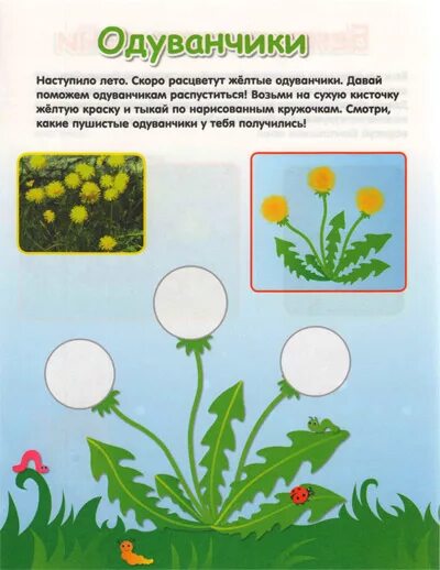 Растения для дошкольников. Этапы цветения одуванчика. Тематическое занятие одуванчик. Цветы задания для детей. Задание одуванчики.