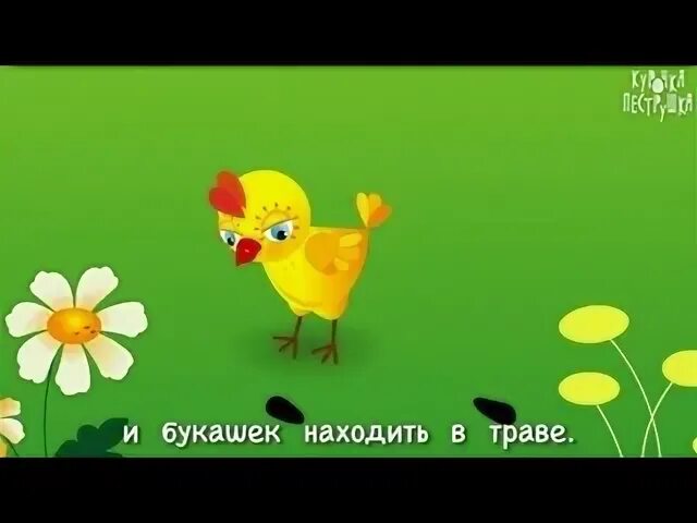 Цыпленок пи. Цыпленок пи пи. Песенка цыпленок пи. Песенки для малышей цыпленок пи. Песенка про цыплят для малышей