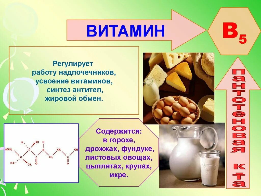 Про витамин б. Витамины группы б5. Витамин b5 пантотеновая кислота. Роль в организме витамина b5. Витамин b5 синтезируется в организме.