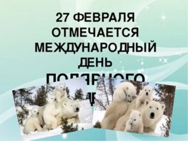27 февраля 2025. 27 февраля день. международный день 27 февраля. международный день полярного медведя. всемирный день белого медведя.